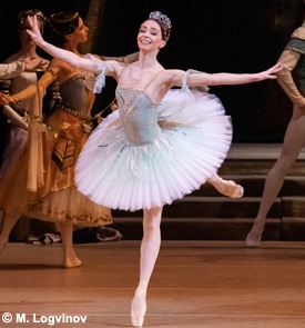 The Bolshoi Ballet Live |