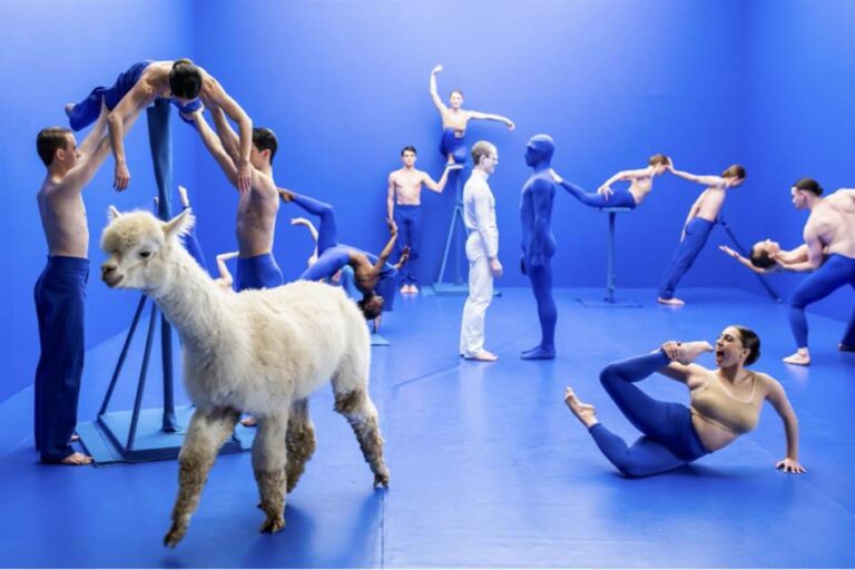 avdp13 videodanceproject 2022