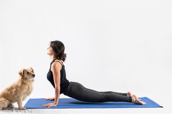 maria stamou mathima yoga arxareion