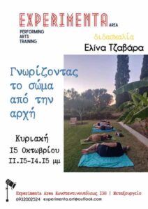 tzavara seminario Feldenkrais