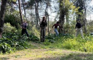 Dance Collective seminario contact